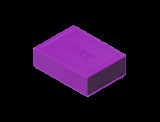 RNG DICEBOX BARD PUPLE